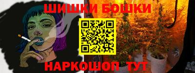 МДПВ Гатчина