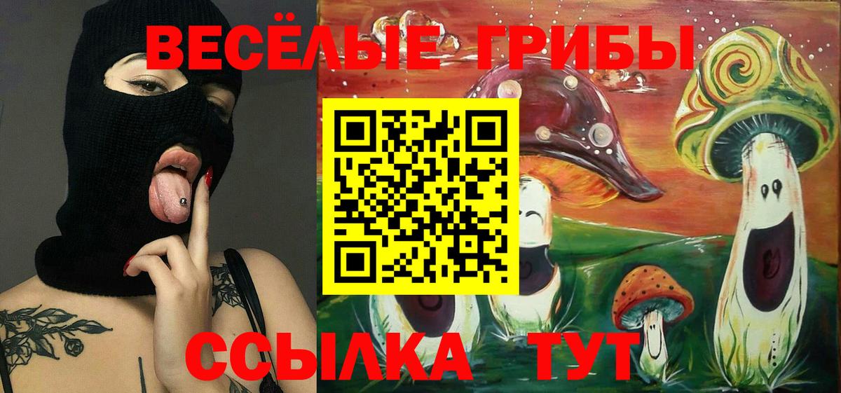 Галлюциногенные грибы MAGIC MUSHROOMS  магазин    Геленджик  Псилоцибиновые грибы Cubensis  Вход с VPN 